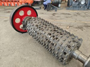 Secondary Teeth Roller Assembly